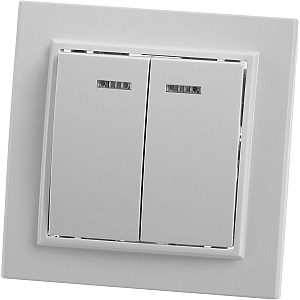 Выключатель 2-клавишный с индикатором Stekker, PSW10-9002-01, 250В, 10А Эрна, белый 39042