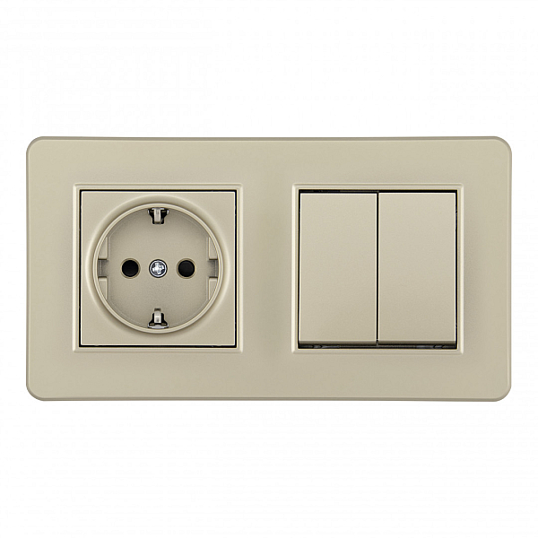 Выключатель двухклавишный с розеткой Arte Milano SET16-2-40-1-30-2 shampan