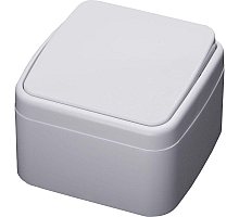 Выключатель 1-клавишный Stekker, PSW10-41-20, открытой установки, 250В, 10А, IP20 Basic, белый 39031