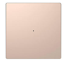 Клавиша одинарная Schneider Electric Merten D-Life MTN5210-6051