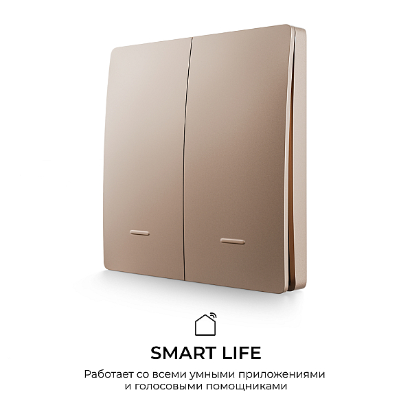 Выключатель кинетический 2кл., IP44, 2,4 ГГц, Smart, беж. Apeyron 04-76