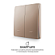 Выключатель кинетический 2кл., IP44, 2,4 ГГц, Smart, беж. Apeyron 04-76
