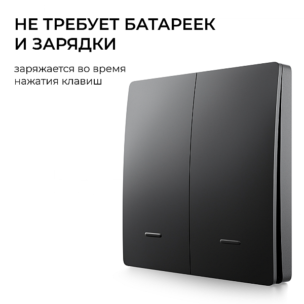 Выключатель кинетический 2кл., IP44, 2,4 ГГц, Smart, чер. Apeyron 04-82