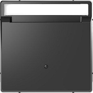 Выключатель карточный Schneider Electric Merten D-Life MTN3854-6034