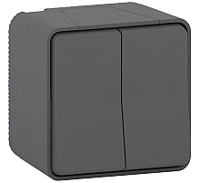 Выключатель 2-клавишный Schneider Electric MUR40914