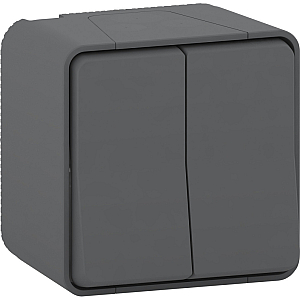 Выключатель 2-клавишный Schneider Electric MUR40914