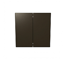 Выключатель двухклавишный 10A 250V с накладкой Jasmart FD3023BR