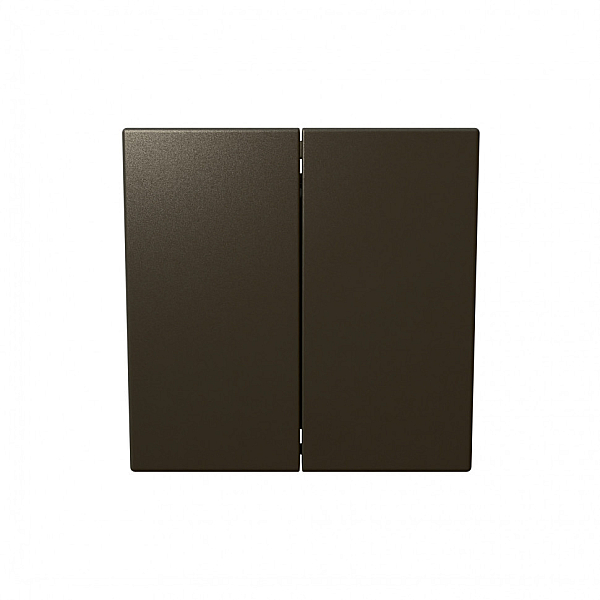 Выключатель двухклавишный 10A 250V с накладкой Jasmart FD3023BR