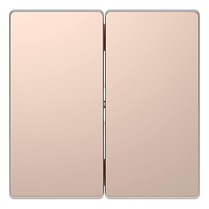 Клавиша двойная Schneider Electric Merten D-Life MTN3400-6051