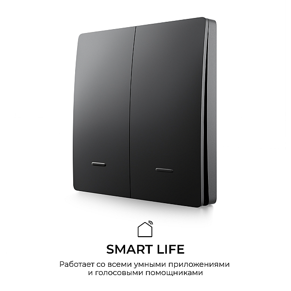 Выключатель кинетический 2кл., IP44, 2,4 ГГц, Smart, чер. Apeyron 04-82