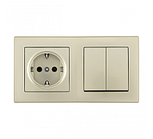 Выключатель двухклавишный с розеткой Arte Milano SET06-2-30-2-40-1 shampan