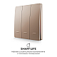 Выключатель кинетический 3кл., IP44, 2,4 ГГц, Smart, беж. Apeyron 04-77