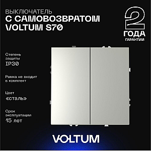 Выключатель с самовозвратом двухклавишный Voltum S70 VLS020605 (сталь)