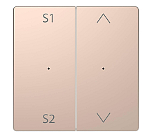 Клавиша двойная Schneider Electric Merten D-Life MTN5227-6051