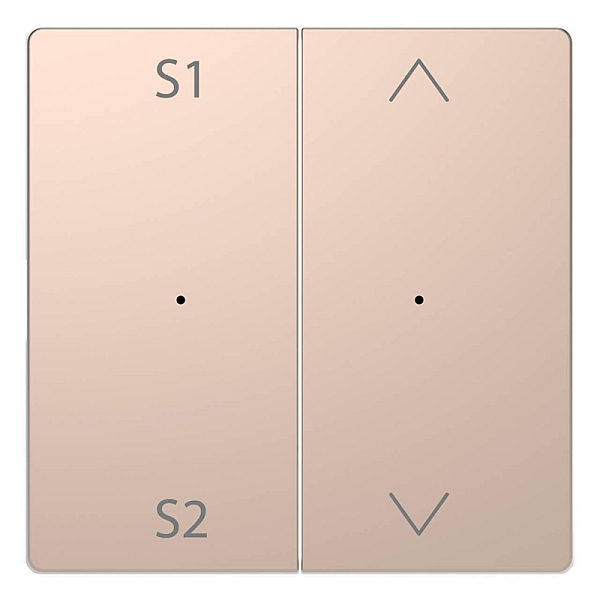Клавиша двойная Schneider Electric Merten D-Life MTN5227-6051
