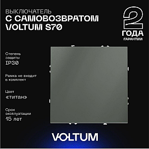 Выключатель с самовозвратом одноклавишный Voltum S70 VLS010606 (титан)
