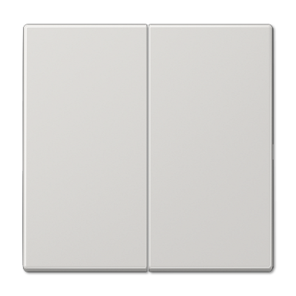 Клавиша 2-ная Jung LS990 LS995LG