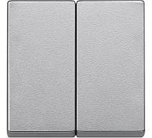 Клавиша двойная Schneider Electric Merten System M MTN433560