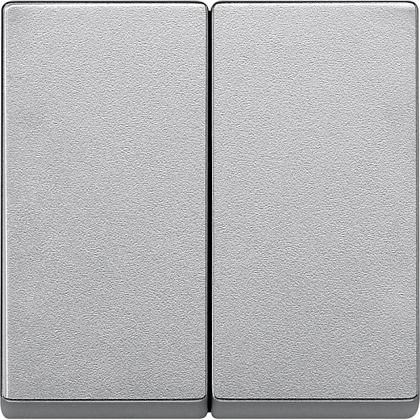 Клавиша двойная Schneider Electric Merten System M MTN433560
