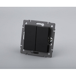 Механизм выключателя двухклавишный самовозвратный Arlight SWT-MKR2-PL-BK-V (250V, 10A) 049884
