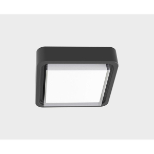 Уличный потолочный светильник Italline IT6028