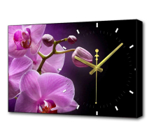 Настенные часы Toplight 37х60х4см TL-C5042