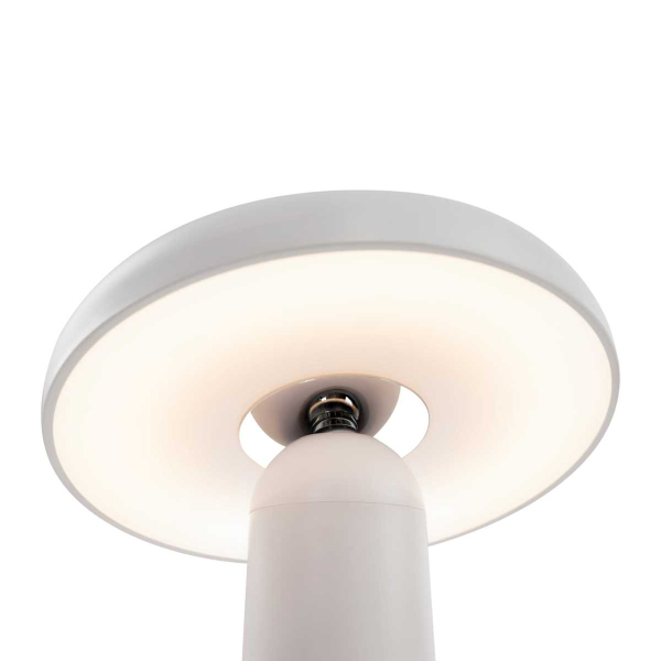 Настольная аккумуляторная лампа Freya LED Mushroom FR6109TL-L4W
