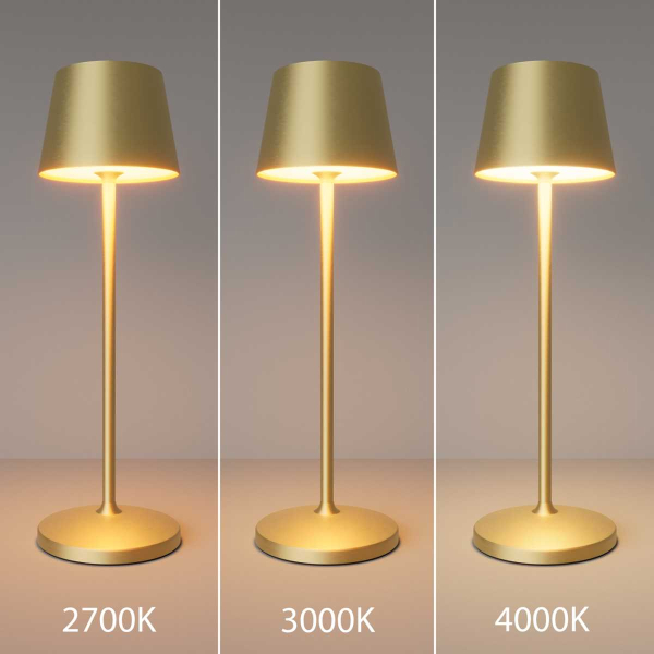 Настольная аккумуляторная лампа Maytoni Modern Nook MOD494RL-L1BSK