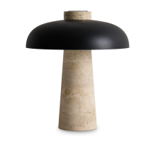 Настольная лампа Freya Sunspot FR5482TL-L7B