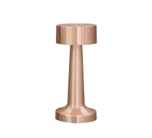 Настольная лампа Aployt Perrayn APL.671.04.01