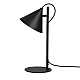 Настольная лампа Kink Light Райви 08482-T,19