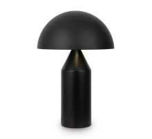 Настольная лампа Freya Eleon FR5218TL-02B1