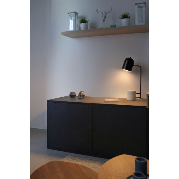 Настольная лампа Freya Unique FR5279TL-01B1