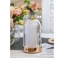 Настольная лампа Lucia NL3 Old money 4606400051121