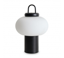 Настольная лампа Freya Take FR6175TL-L10B