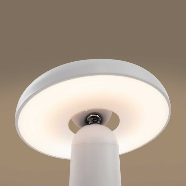 Настольная аккумуляторная лампа Freya LED Mushroom FR6109TL-L4W