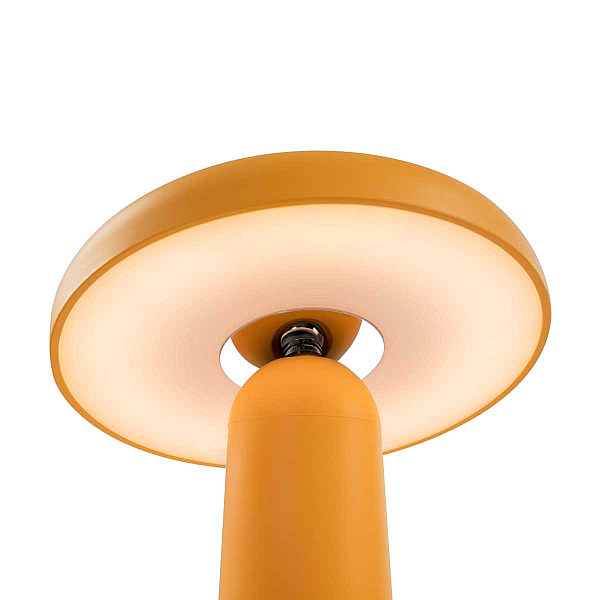 Настольная аккумуляторная лампа Freya Mushroom FR6109TL-L4OR