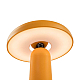 Настольная аккумуляторная лампа Freya Mushroom FR6109TL-L4OR