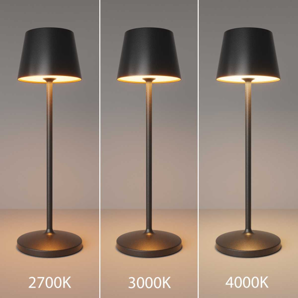 Настольная аккумуляторная лампа Maytoni Modern Nook MOD494RL-L1BK