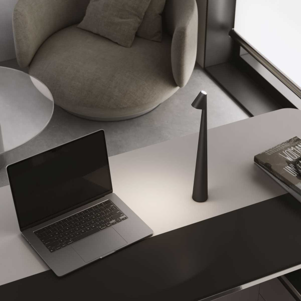 Настольная лампа Elektrostandard Elite TL70250 a068070