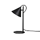 Настольная лампа Kink Light Райви 08482-T,19