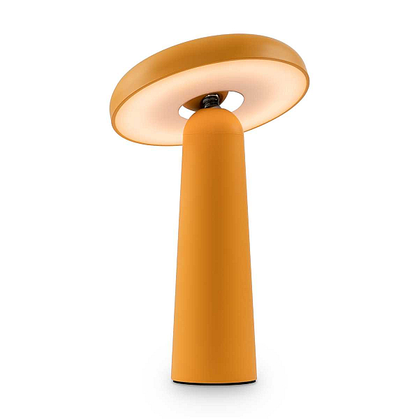 Настольная аккумуляторная лампа Freya Mushroom FR6109TL-L4OR