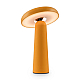 Настольная аккумуляторная лампа Freya Mushroom FR6109TL-L4OR