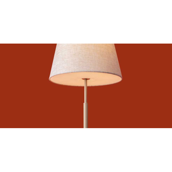 Настольная лампа Freya FR2057TL-01BG