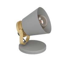 Настольная лампа Eglo Twicken 43841