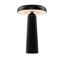 Аккумуляторный светильник Freya FR6109TL-L4B