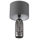 Настольная лампа Lumion Moderni 8146/1T