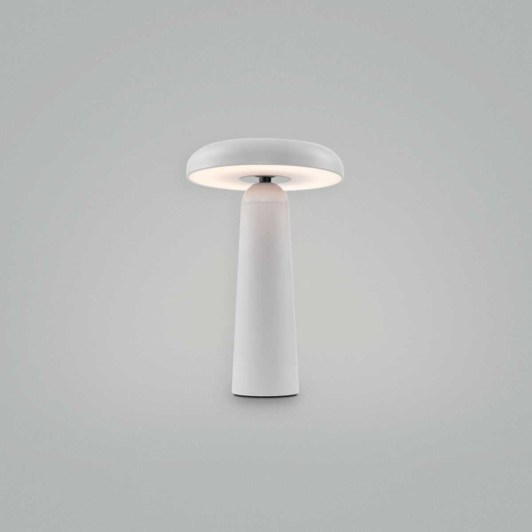Настольная аккумуляторная лампа Freya LED Mushroom FR6109TL-L4W