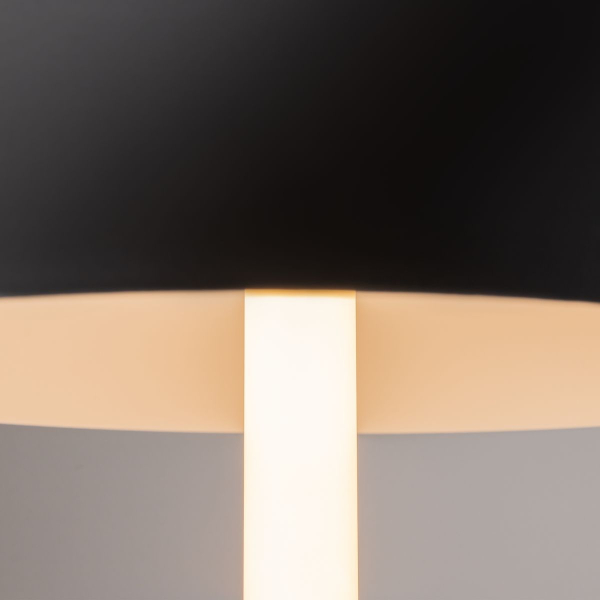 Настольная лампа Maytoni Ray Z012TL-L8B3K