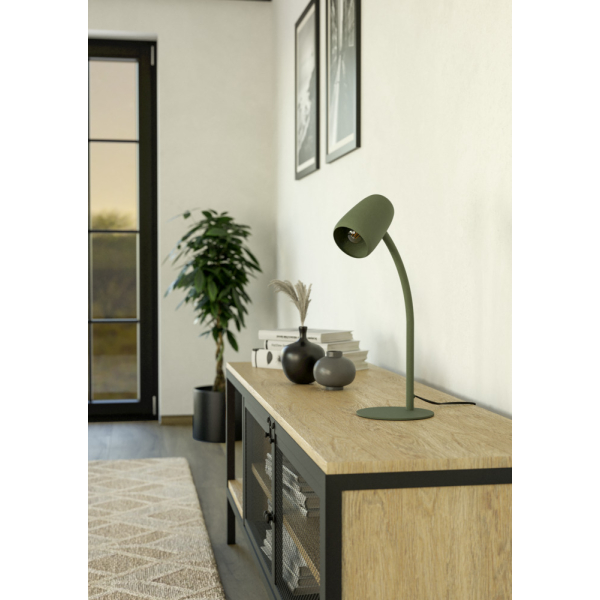 Настольная лампа Eglo Carlo 901831